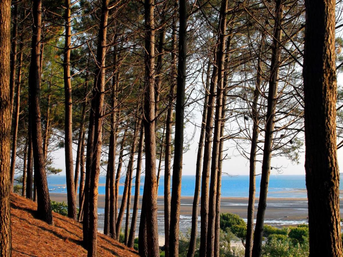 Charmant T2 Au Centre D'Arcachon Avec Garage - A Proximite De La Plage Et Des Commerces - Fr-1-420-88 Exterior photo